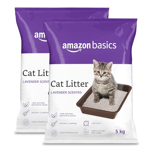 Amazon Basics Scoopable Smart White