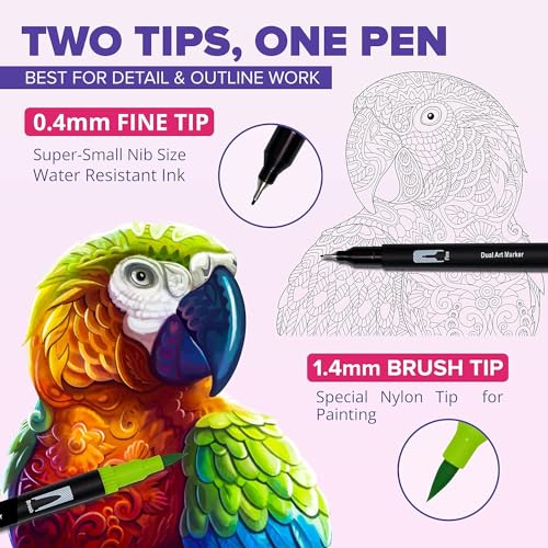 Corslet 12 Pcs Dual Tip