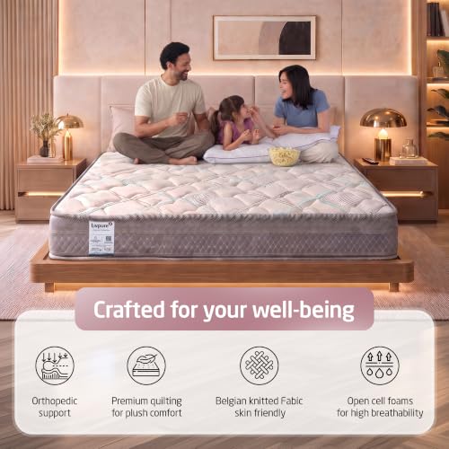 Livpure Smart Ortho CURVX Memory