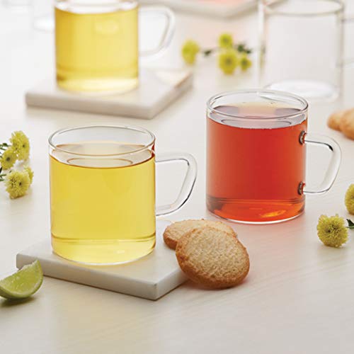 Borosil Vision 6 Pcs Tea