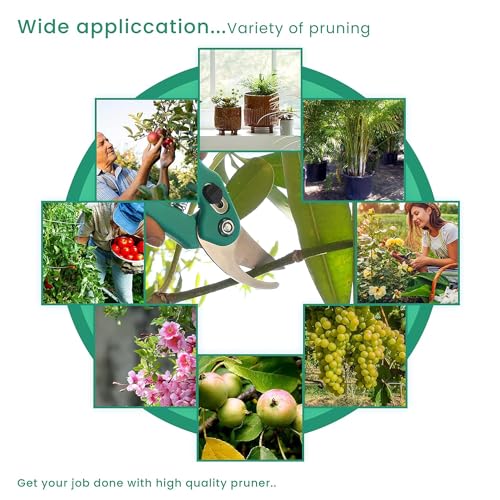 Ocean Mart Assorted Hand Pruner