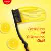 Colgate Lemon Fresh Whitening Gel Toothpaste (480 g, Pack of 4) - Image 3