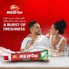 Dabur Red Ayurvedic Gel