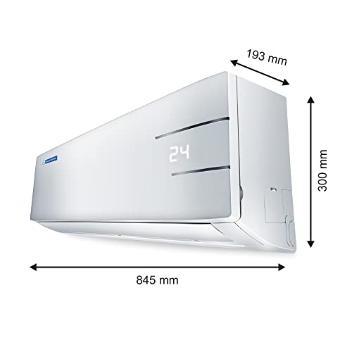 Blue Star 1 Ton 5