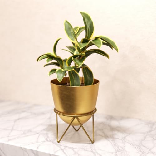 Lifelong Metal Plant Stand Indoor