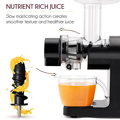 Borosil Nutririch 200W Cold Press