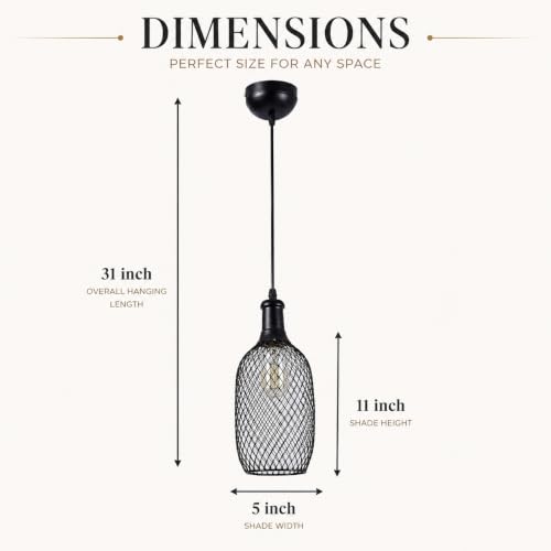 Tu Casa HG-15 Bottle Shape