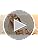 Carlton London Victoria Women Stainless