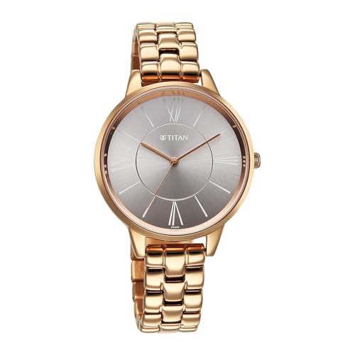Titan Neo Quartz Analog Grey