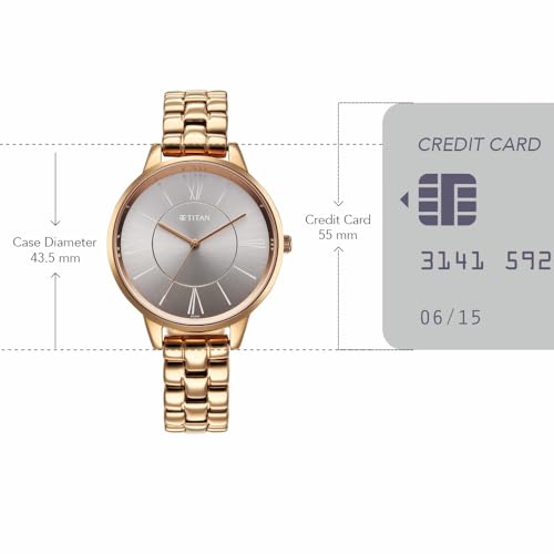 Titan Neo Quartz Analog Grey