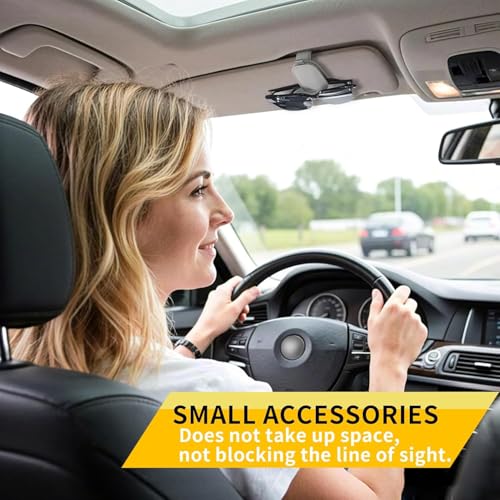 Eliane Sunglass Holder for Car