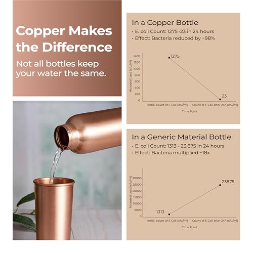 Lifelong 900 ml Copper Water