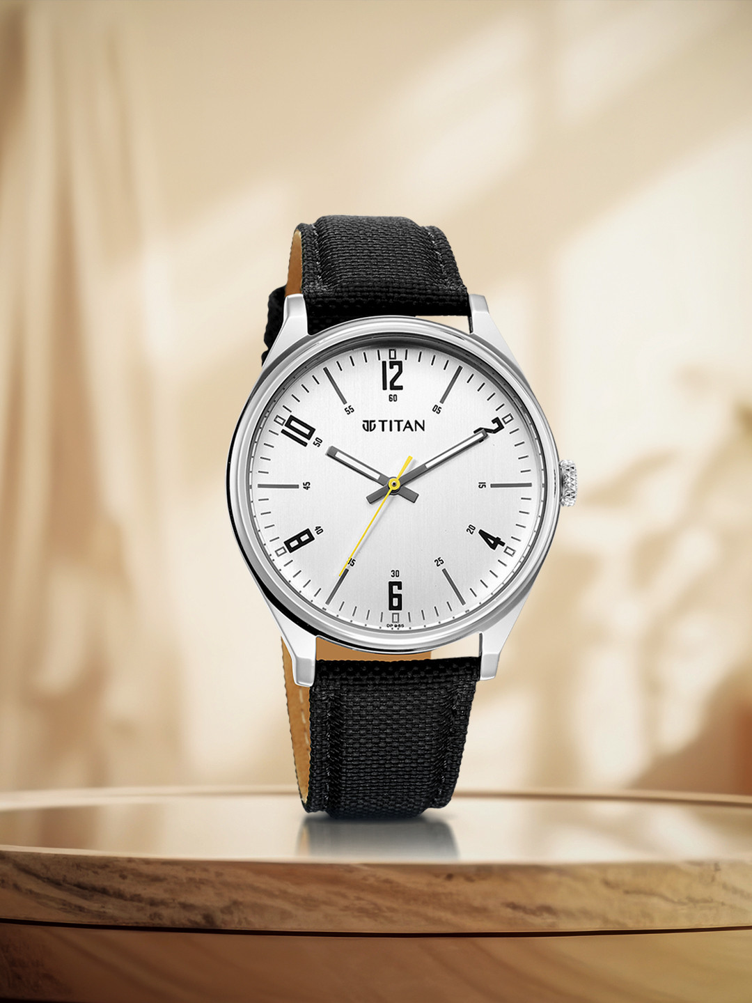 Titan Men Dial & Bracelet Style Straps Analogue Watch 10024SL01