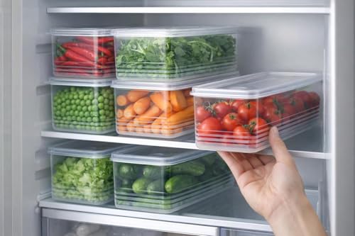 HomeWiz Fridge Storage Containers 1700ml