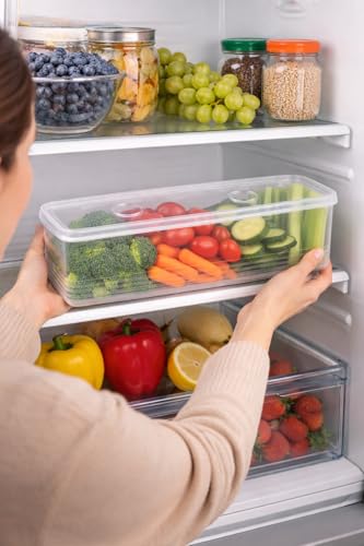 HomeWiz Fridge Storage Containers 1700ml