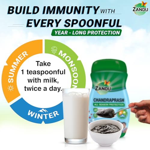 Zandu Chandraprash 900g | 2X
