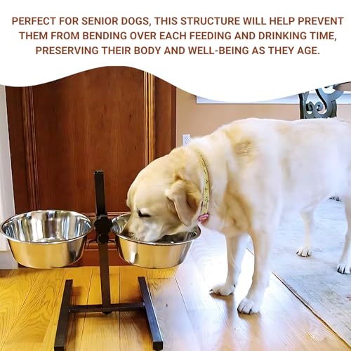 Pets Empire Elevated Dog Bowl