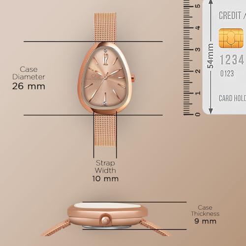 Carlington Iconic Analog Watch