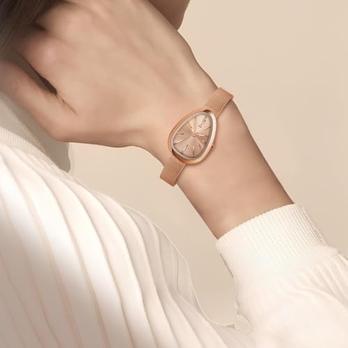 Carlington Iconic Analog Watch