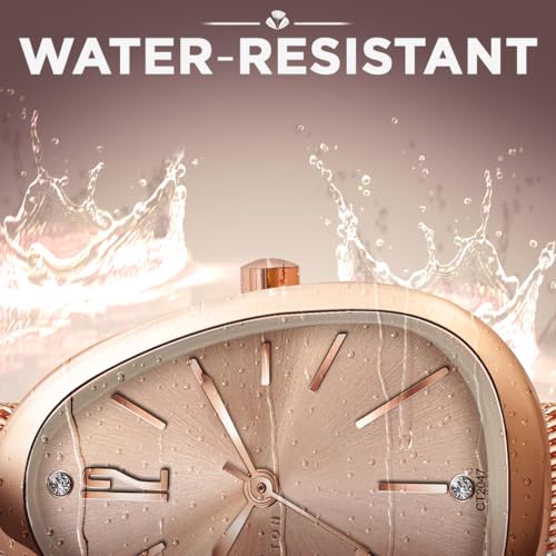 Carlington Iconic Analog Watch