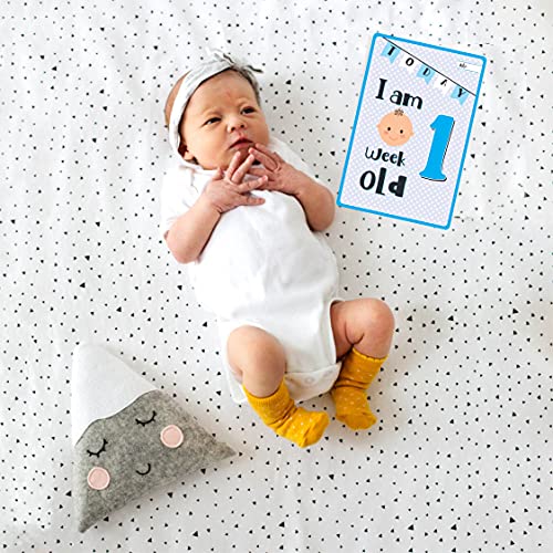Bookworm Baby Milestone Cards