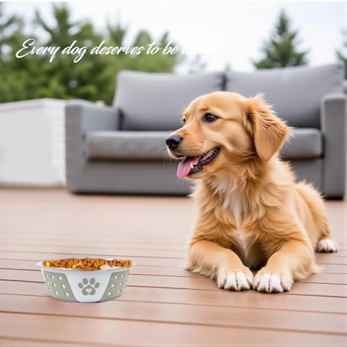 PremiumAV Holy Paws Hermosa Stainless