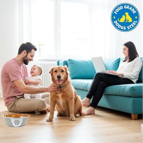 PremiumAV Holy Paws Hermosa Stainless