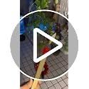 Match Stick Shaped Gas Lighter