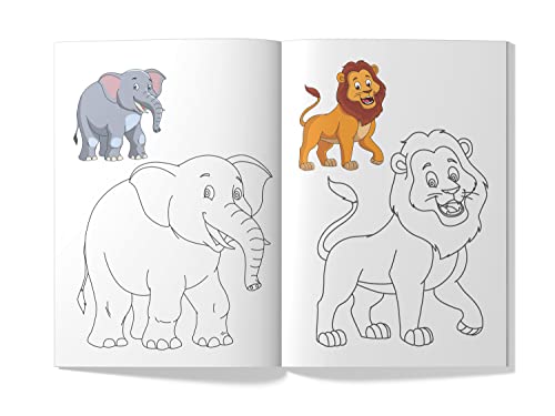 Little Artist Series Animals: Copy Colour Books - Image 6