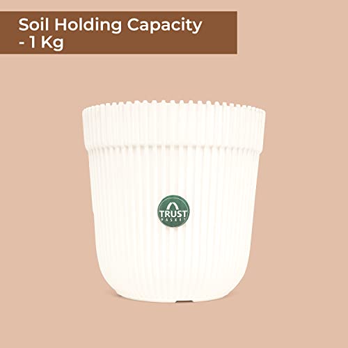 TrustBasket Rim Pot 5 inch