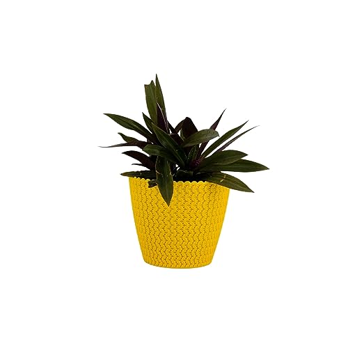 Go Hooked Flower Pot