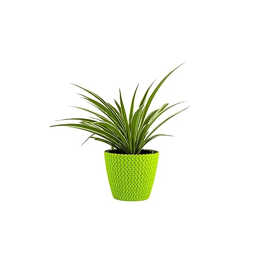 Go Hooked Flower Pot
