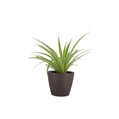 Go Hooked Flower Pot