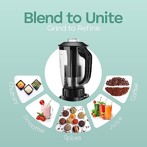 Longway Orion 900 Mixer Grinder
