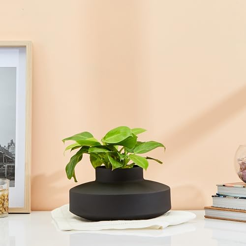 Amazon Brand - Solimo Flower