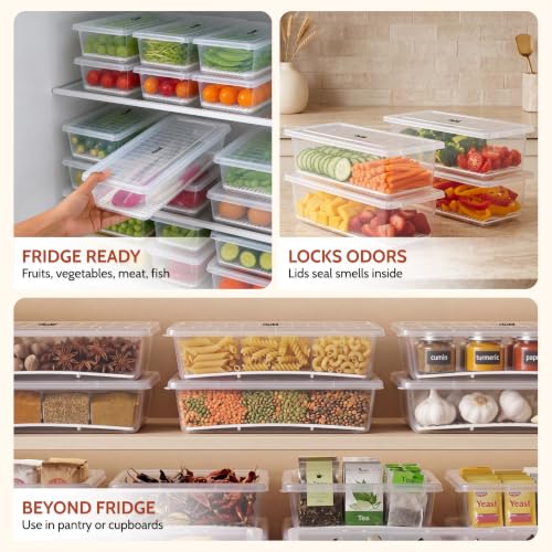Clazkit Food Storage Containers &