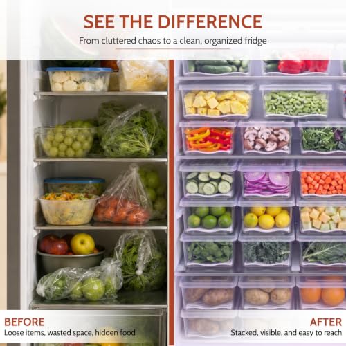 Clazkit Food Storage Containers &