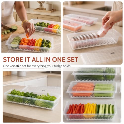 Clazkit Food Storage Containers &