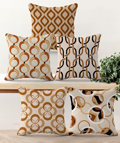 Set of 5 Designer Decorative