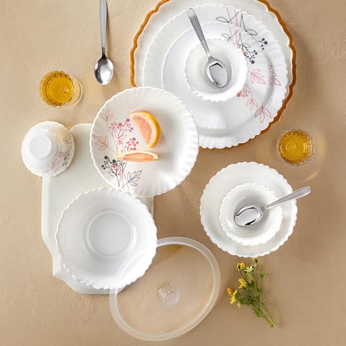 Larah by Borosil 41pc Opalware