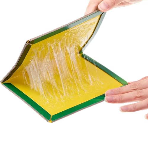 6 Pack Pest Trap Boards