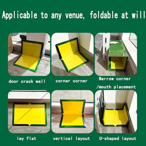 6 Pack Pest Trap Boards