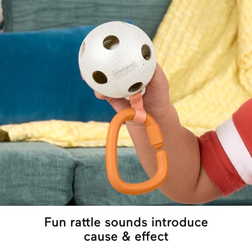 Fisher-Price Baby Toys Mini Me