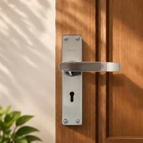 Amazon Basics Mortise Door Lock