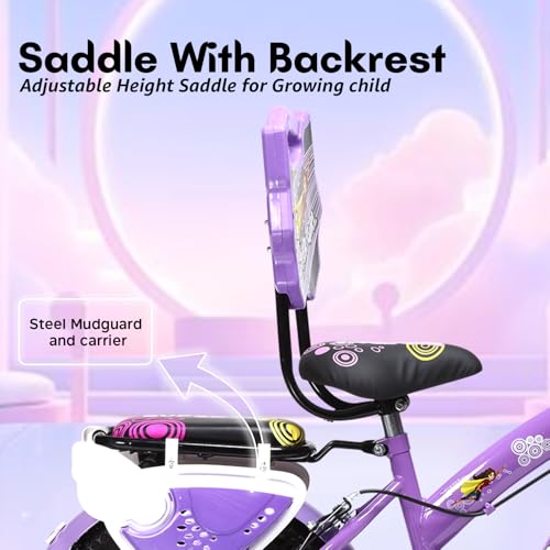 VESCO Super Girl 16T Cycle