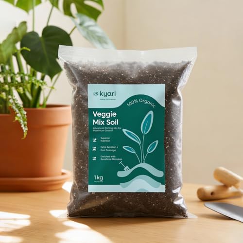 Kyari Veggie Mix 100% Organic