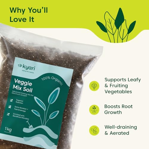Kyari Veggie Mix 100% Organic