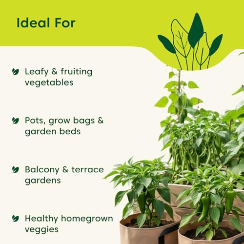 Kyari Veggie Mix 100% Organic
