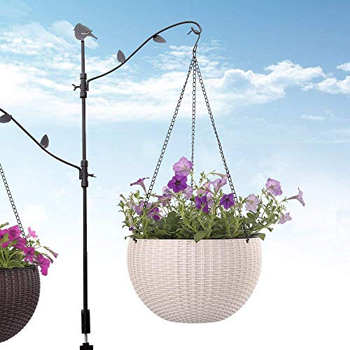 PlantaZee Multicolor Round Rattan Woven