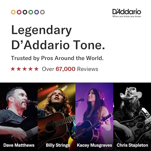 D'Addario EJ16 Acoustic 12-53 Light